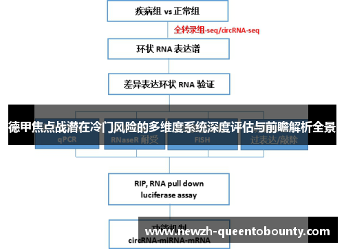 德甲焦点战潜在冷门风险的多维度系统深度评估与前瞻解析全景