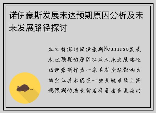 诺伊豪斯发展未达预期原因分析及未来发展路径探讨 诺伊豪斯发展未达预期原因分析及未来发展路径探讨